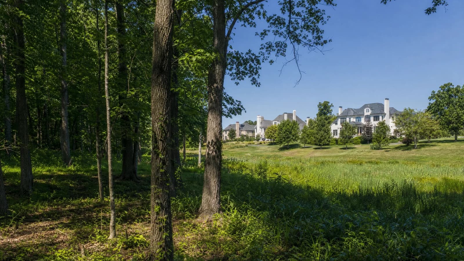 Dublin Bright Road Plan Advances, but Price Effects Are Unproven
